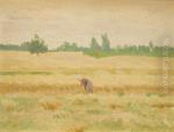 W Polu - view 1