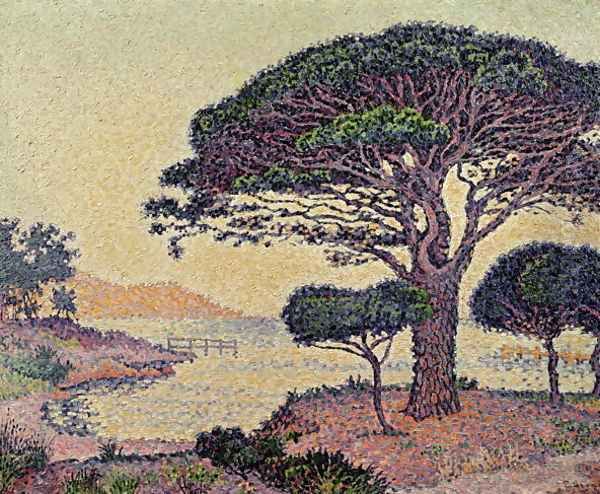 Umbrella Pines at Caroubiers, 1898 - view 1