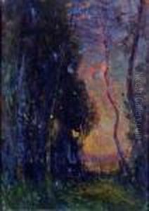 Trouee Dans Les Arbres