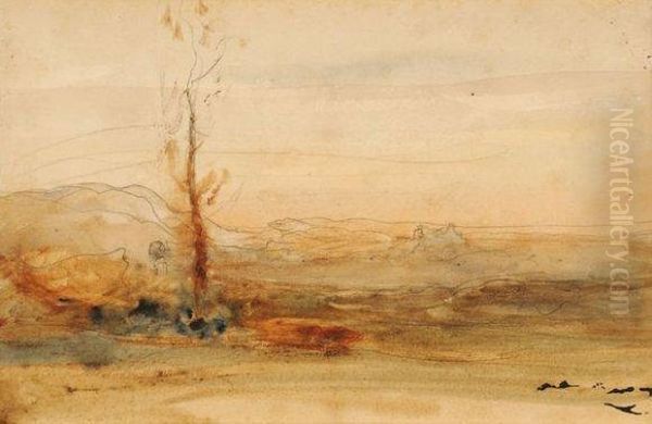 Paysage - view 1