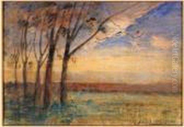 Plaine Aux Grands Arbres Au Crepuscule - view 1