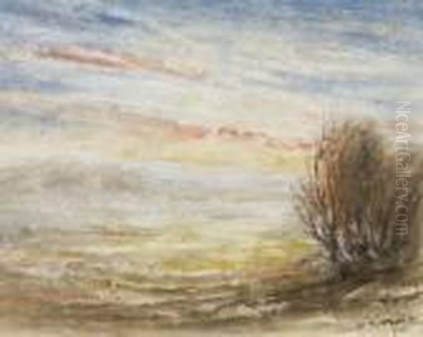 Paysage Du Lyonnais - view 1