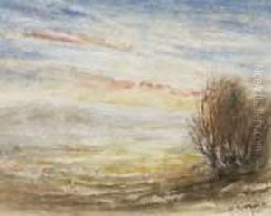 Paysage Du Lyonnais
