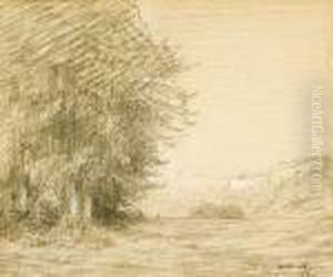 Paysage Aux Arbres