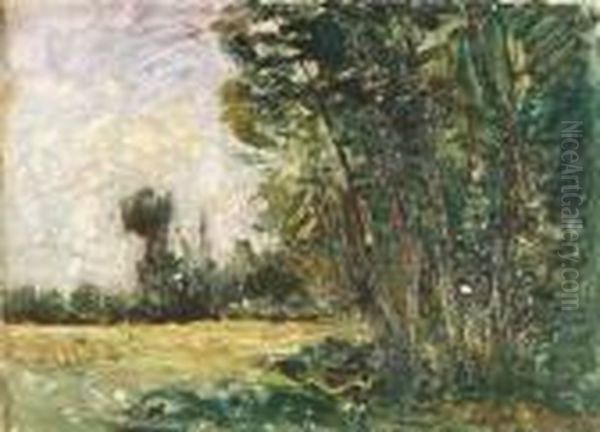 Paysage - view 1
