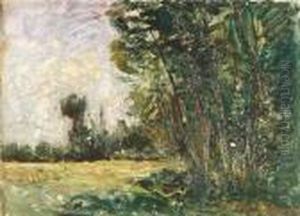 Paysage