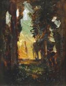 Paysage