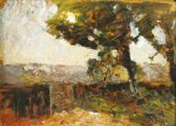 Paysage - view 1