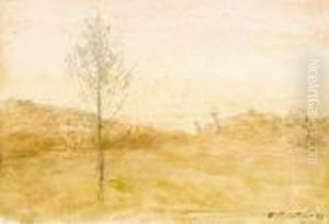Paysage Paysage