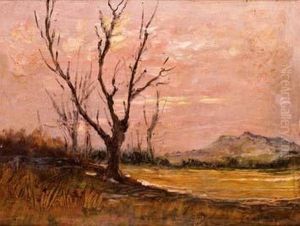 Paesaggio Paesaggio