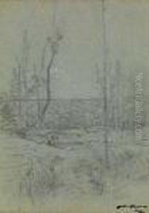 Paysage Paysage