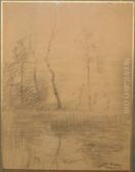 Arbres Pres D'un Cours D'eau - view 1