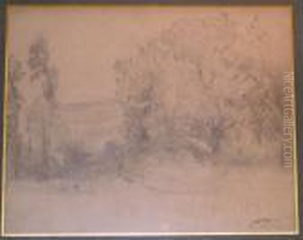 Sous Bois - view 1