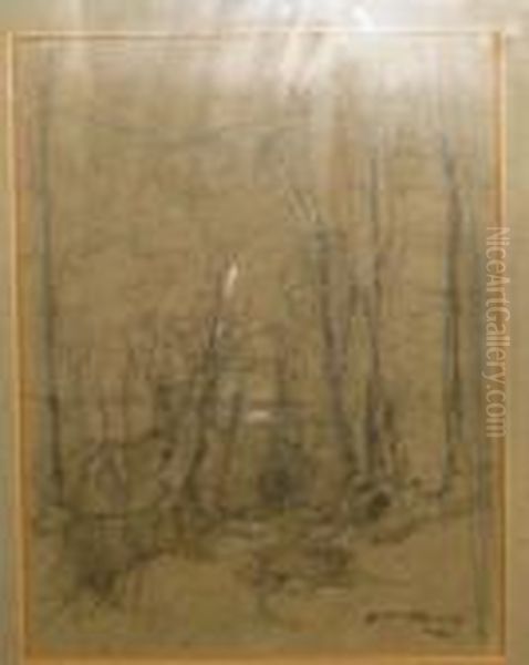 Paysage - view 1