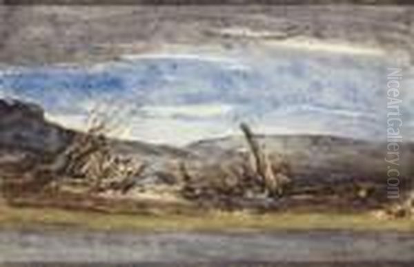 Paysage - view 1