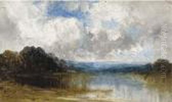 Un Etang Par Temps Gris - view 1