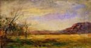 Paysage Paysage
