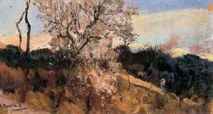 Almond of Asís