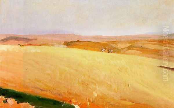Field of wheat, Castilla - view 1