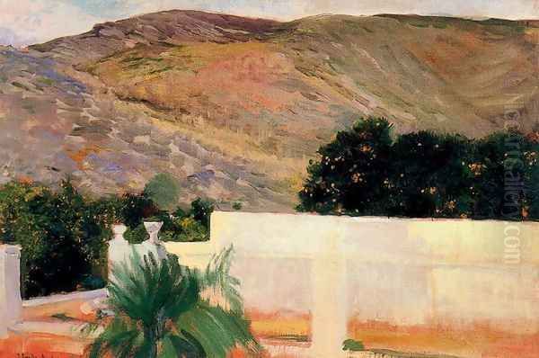 Naranjos, Alcira - view 1