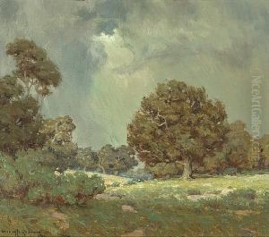 Wildflowers Under Grey Skies (the Coming Storm)