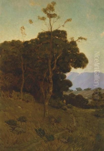 In Southern California - view 1