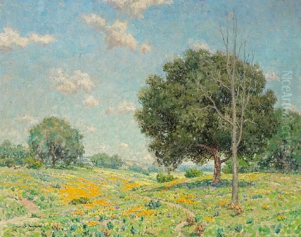 A Path Through The Poppies - view 1