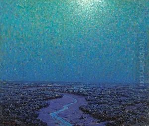 Moonlight On The Marsh