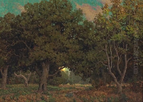Sunset Through The Trees - view 1