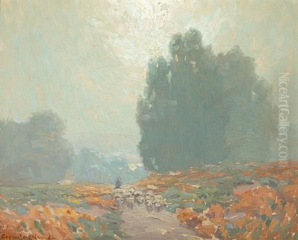 A Hazy Morning - view 1