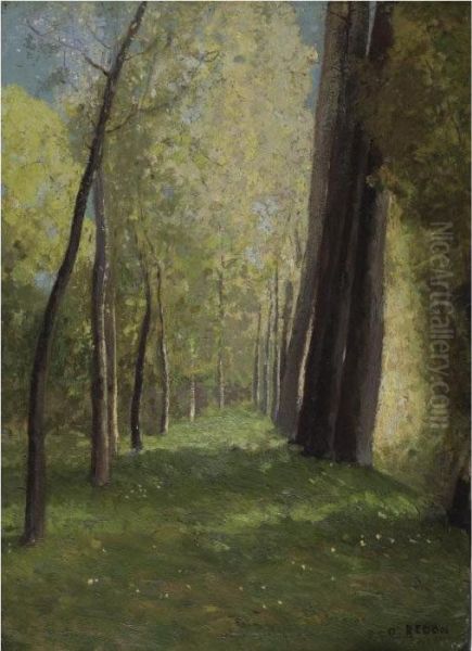 Allee D'arbres - view 1