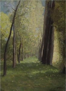 Allee D'arbres