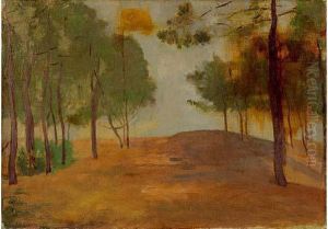 Paysage Aux Grands Arbres