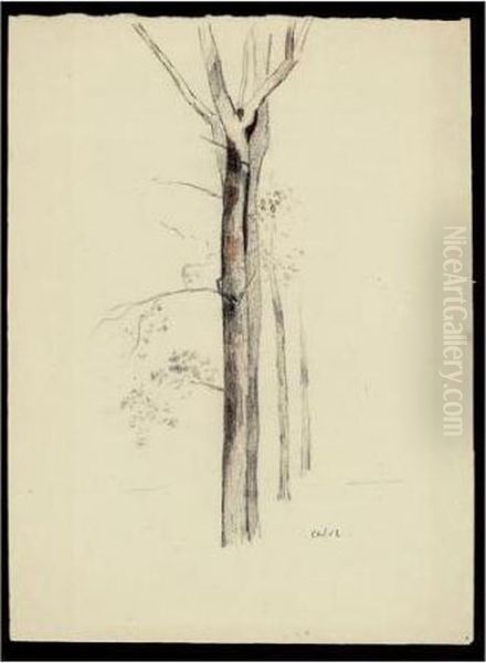 Arbre - view 1