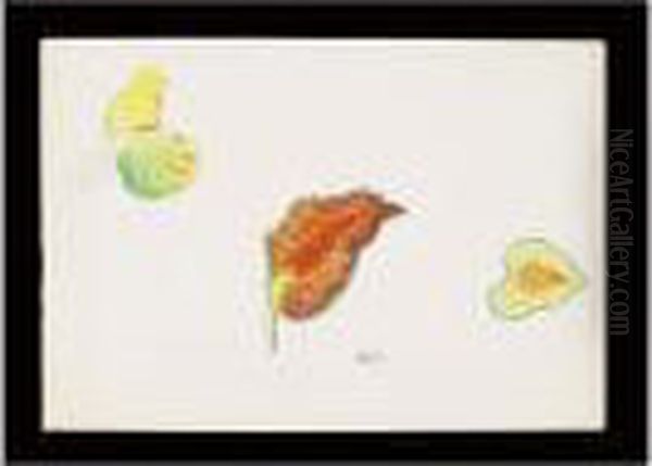 Etude De Feuilles - view 1