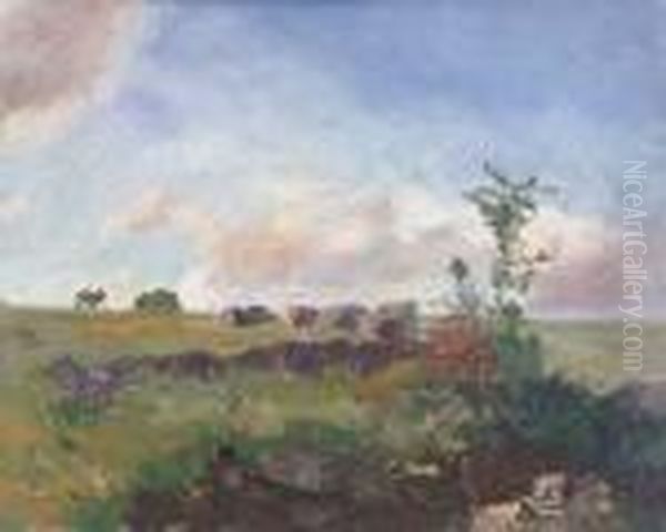 Les Landes - view 1
