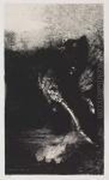 Untitled - view 1