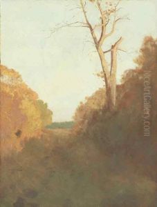 Paysage, Arbre Au Bord D'un Chemin