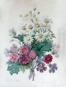 Marguerites Et Fleurs Des Champs