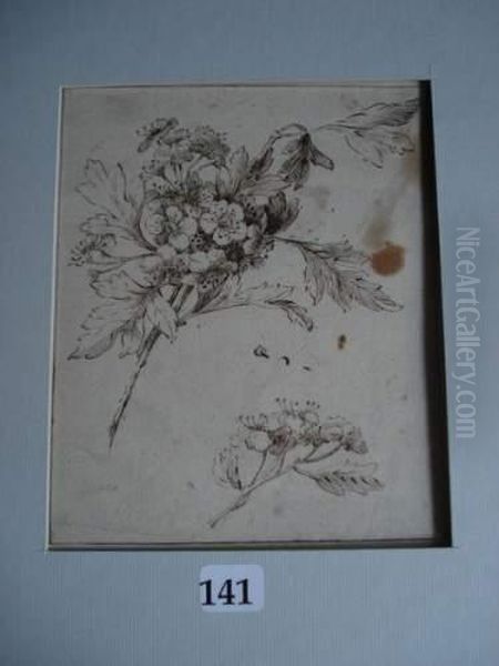 Recto : Jete De Fleurs - view 1