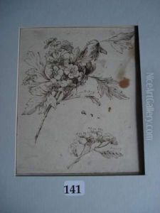 Recto : Jete De Fleurs by Pierre-Joseph Redoute