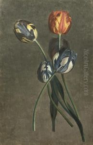 Parrot Tulips by Pierre-Joseph Redoute