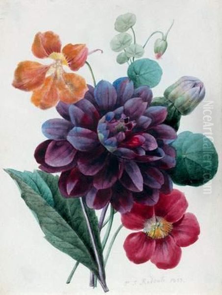 Jete De Dahlias Et Capucines
 Aquarelle Sur Traits De Crayon Noir Sur Velin - view 1