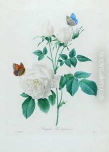 Bengale The Hymenee; Groseiller Rouge; Fleurs De Pommier