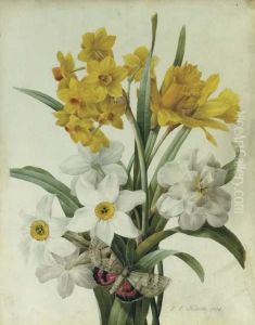 A Bouquet Of Daffodils And Narcissi With A Red Underwing Moth