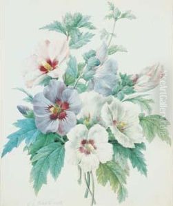 Redoute - < Althaea > Redoute - < Althaea >