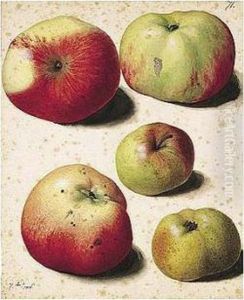 Five Apples by Pierre-Joseph Redoute