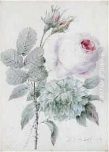 Dalhia Et Roses by Pierre-Joseph Redoute