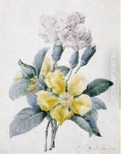 OEillet Et Eglantine