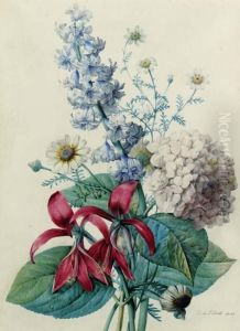 Hydrangea, Hyacinths, Saint-jacques Lilies And Daisies